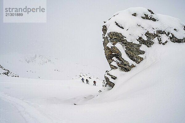 Three ski tourers climbing to the Madritschspitze  snow-covered mountain landscape  Ortler Alps  Vinschgau Valley  Italy  Europe