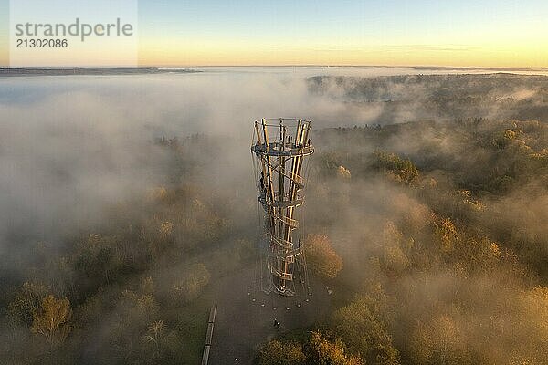 Tower in the fog reveals itself at sunrise  surrounded by autumnal forest landscape  Schönbuchturm  Herrenberg  Germany  Europe