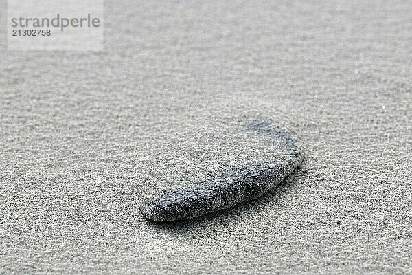 Abstract minimalistic photo of a rounded piece of wood on the North Sea beach on the Island of Terschelling in the North of the Netherlands