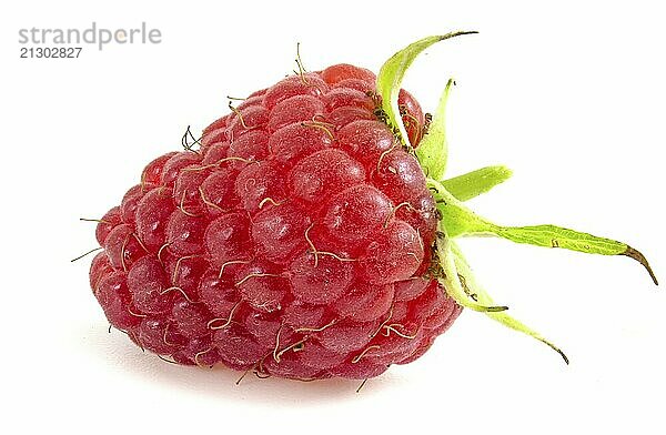 Ripe raspberries isolated on white background. Berry close up