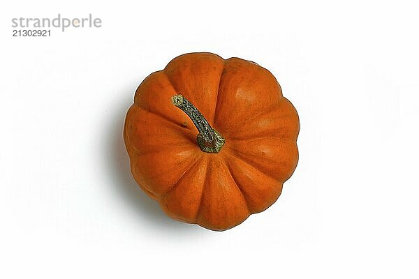 Bright orange Jack be Little pumpkin on white background