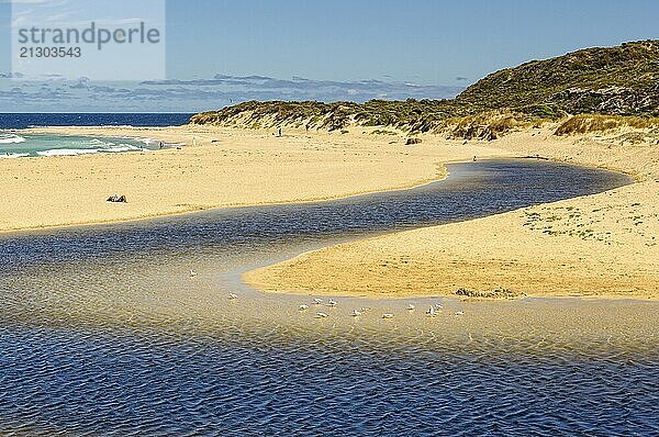 The mouth of Margaret River at the northern end of Calgardup Bay  Prevelly  WA  Australia  Oceania