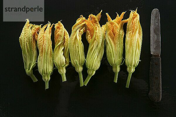 Presentation of yellow pumpkin flower on black background