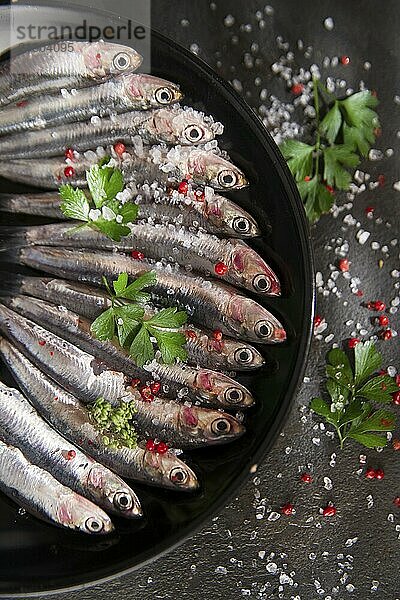 Presentation of a dish of raw anchovies on black background