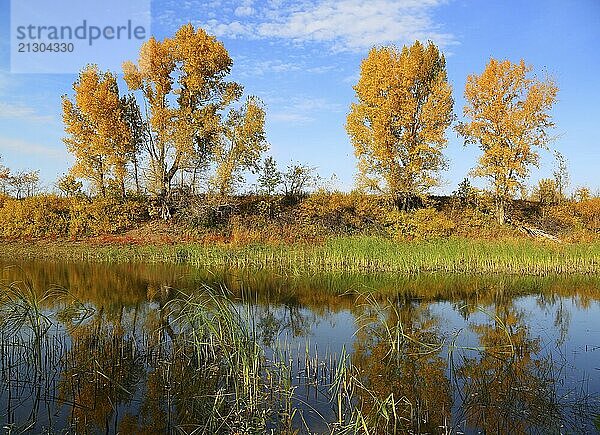 Beautiful small lake landscape at autumn