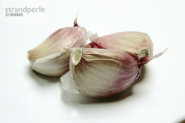 Garlic  Close Up against white background