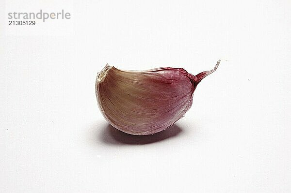 Garlic  Close Up against white background