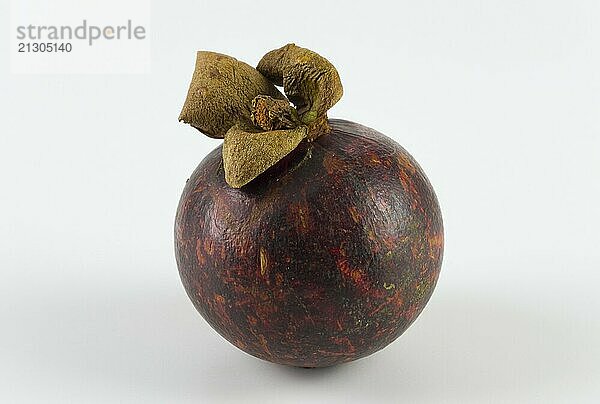 A mangosteen in front of a white background in bright studio light  Mangosteen (Garcinia mangostana)  Mangosteen