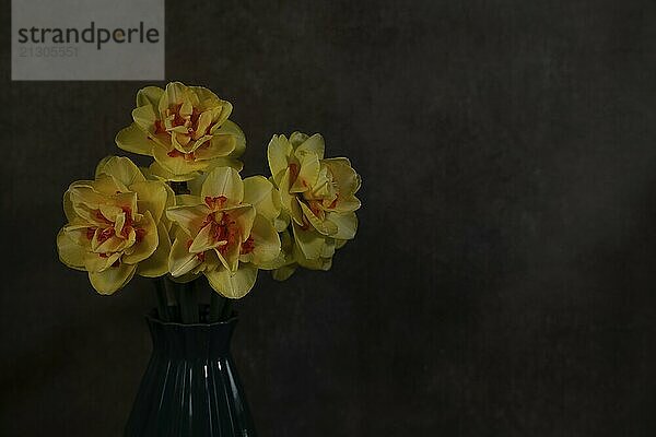 A still life with a blue vase with yellow daffodils with an orange heart on a dark background