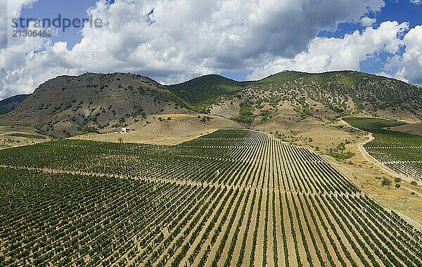 Aerial beautiful view of mountain vineyard in Crimea