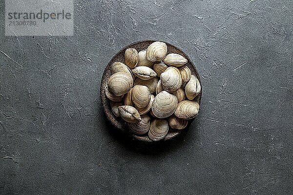 Food  Food  Raw fresh clams in gray plate  gray background