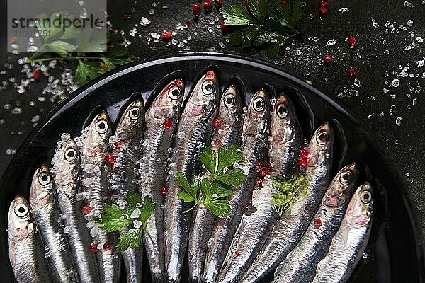 Presentation of a dish of raw anchovies on black background