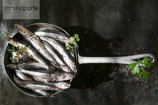 Presentation of a small strainer raw anchovies on a black background