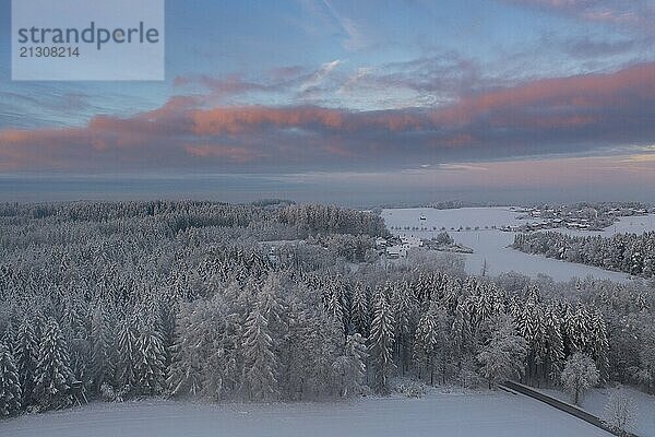 Winter forest near Eurasburg  winter at sunrise  drone shot  Upper Bavaria  Bavaria  Germany  Europe