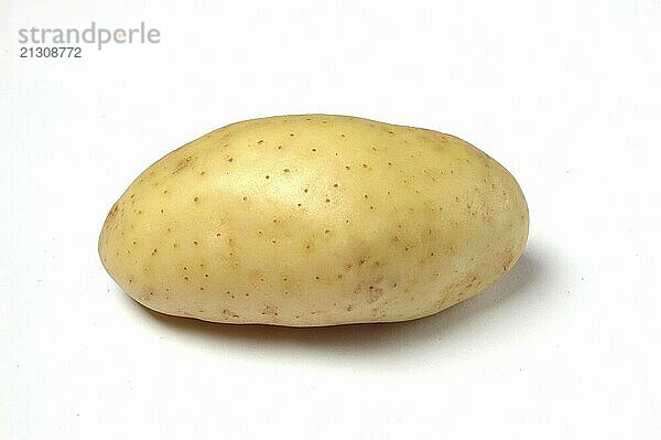 Potato  Close Up on white background