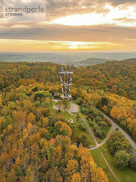 Observation tower in an autumnal forest landscape at sunset with colourful foliage and paths  Schönbuchturm  Herrenberg  Germany  Europe