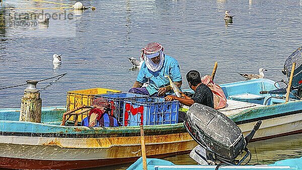 Fishermen working on their boats in the harbour of Mirbat  Dhofar Province  Arabian Peninsula  Sultanate of Oman