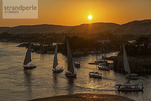 Beautiful view on felucca boats on Nile river in Aswan at sunset  Egypt  Africa