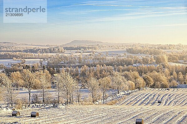 Beautiful view in a rural winter landscape with bales on a snowy field in a cold winter  Sweden  Europe