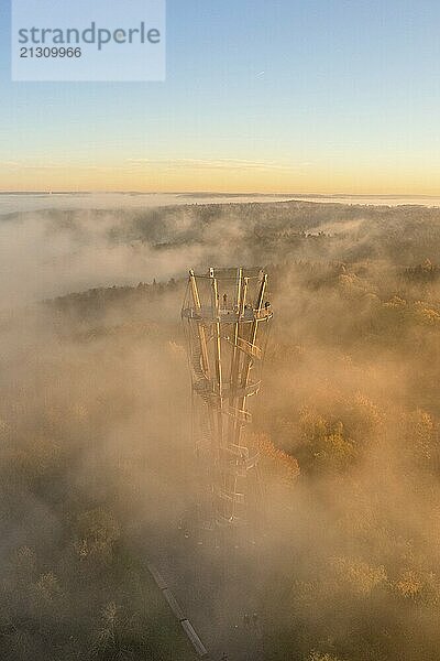 Observation tower rises out of mystical fog in golden sunlight in autumn forest  Schönbuchturm  Herrenberg  Germany  Europe