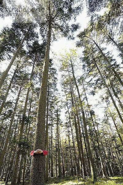 A man hugging a tree in a forest