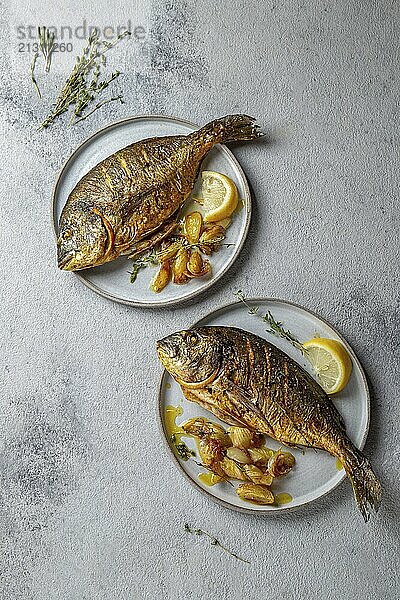 Food  Food  Grilled sea bream or dorada on gray plate. Gray background