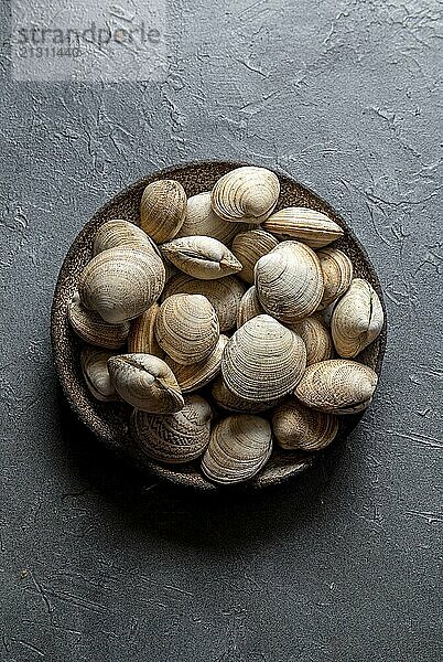 Food  Food  Raw fresh clams in gray plate  gray background