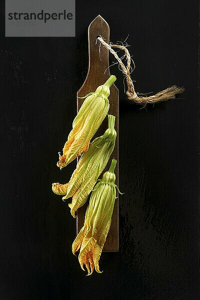 Presentation of yellow pumpkin flower on black background