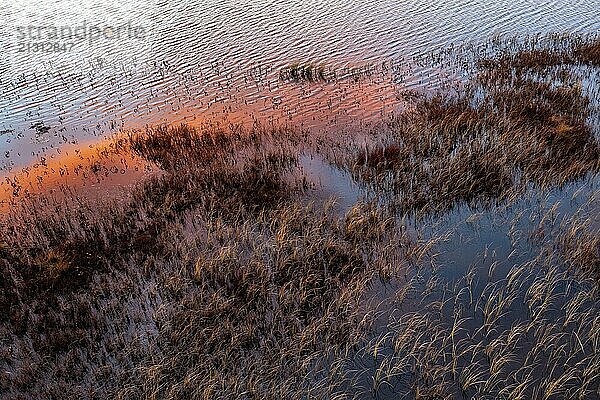 Sunset  drone shot  aerial view  detail shot reed  moor landscape  Lapland  Finland  Europe