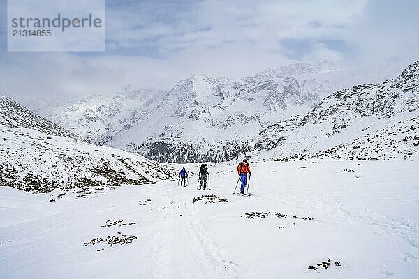 Three ski tourers climbing to the Madritschspitze  snow-covered mountain landscape  Ortler Alps  Vinschgau Valley  Italy  Europe