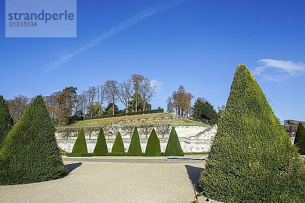 Amazing sunny day and view on park of Domaine national de Saint-Cloud in October .- topiary trees in cone shapels  fantastic park for sportive activity and walking in wee end and tourists!