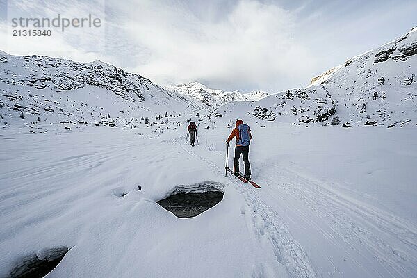 Ski tourers ascending in the rear Martell Valley  snow-covered mountain peak Monte Cevedale behind  Ortler Alps  Vinschgau Valley  Italy  Europe