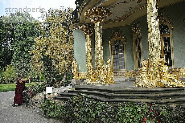 16/09/2014  Potsdam  Brandenburg  Germany  Europe  View of the Chinese Beluga (sturgeon) in Sanssouci Park  Europe