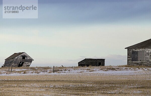 Prairie Landscape in winter Saskatchewan Canada scenic