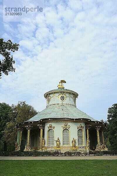 16/09/2014  Potsdam  Brandenburg  Germany  Europe  View of the Chinese Beluga (sturgeon) in Sanssouci Park  Europe