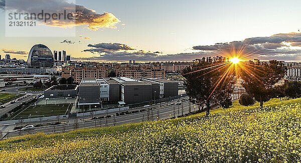 Madrid  Spain  March 7  2020: Panoramic view of the skyline of Madrid from hill covered with yellow flowers at sunset in springtime  with the rays of the sun going down. Las Tablas  Europe