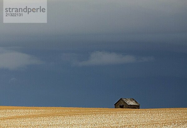 Prairie Landscape in winter Saskatchewan Canada scenic