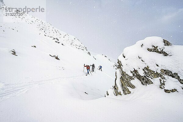 Three ski tourers in snowfall  ascent to Madritschspitze  snow-covered mountain landscape  Ortler Alps  Vinschgau Valley  Italy  Europe