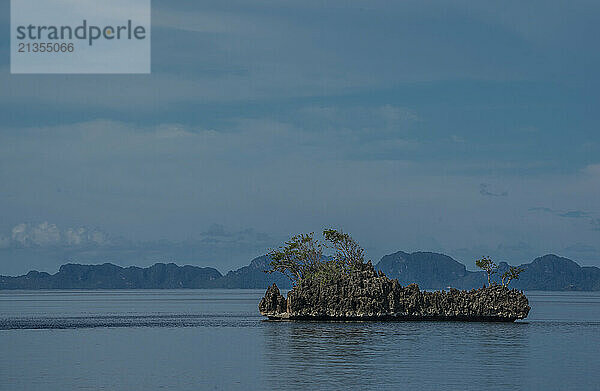 island at the calm waters at Raja Ampat