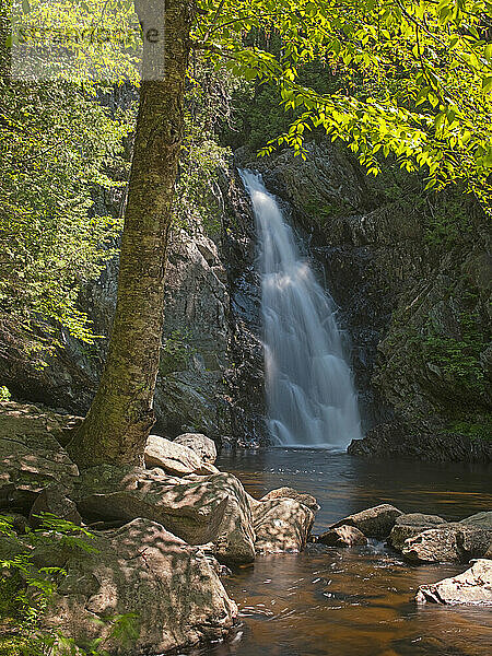 Spotty Sunlight illuminates cascading Poplar Stream Falls in Carrabassett Valley  Maine