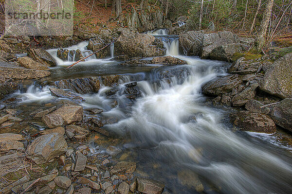 Poplar Stream cascades through a series of water steps  as it flows toward the Carrabassett River in western Maine.