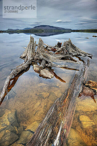 A decaying stump in Flagstaff Lake is a remnant from the construction of the Long Falls Dam in western Maine.