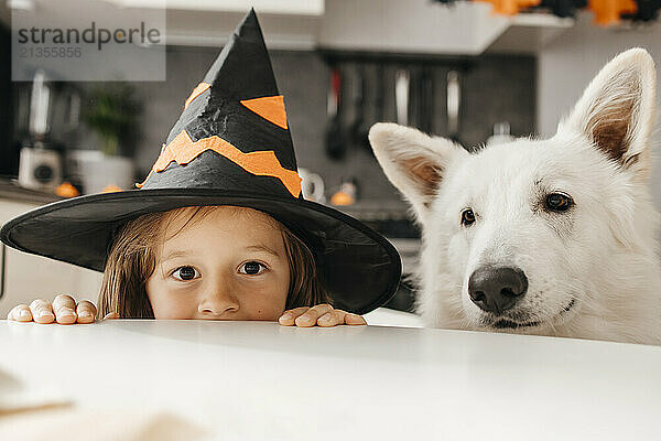 Boy wearing witch's hat and peeking with white Swiss shepherd dog from table at home