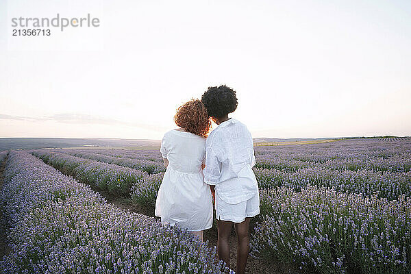 Friends standing amidst lavender field