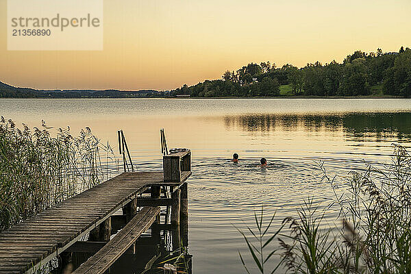 Friends swimming in sea at sunrise