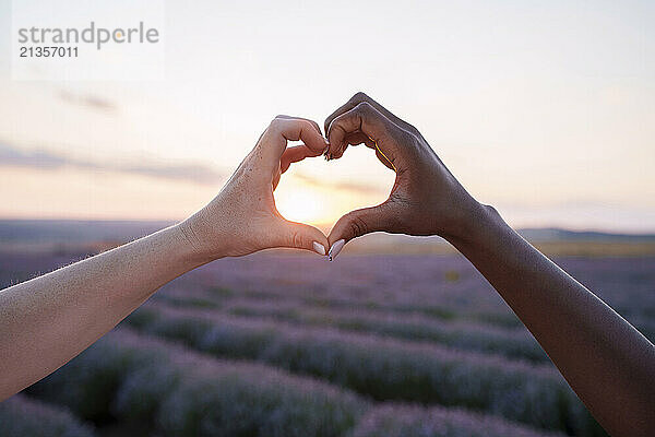 Hands of friends showing heart sign in lavender field