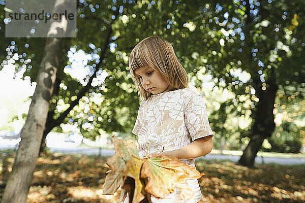 Blond girl collecting autumn leaves in public park