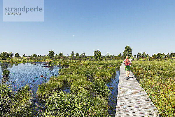 Woman walking on boardwalk under sky in High Fens national park  Wallonia  Belgium