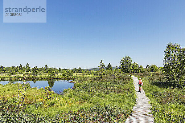 Senior woman walking on boardwalk amidst plants in High Fens national park  Wallonia  Belgium