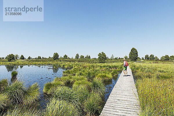 Senior woman standing with backpack on boardwalk under sky in High Fens national park  Wallonia  Belgium